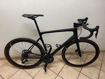 Rose, X-LITE SIX DISC Ultegra Di2 2022