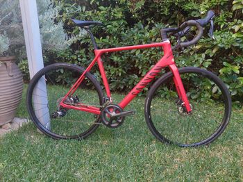 Canyon, Endurace CF SLX Disc 8.0 2018