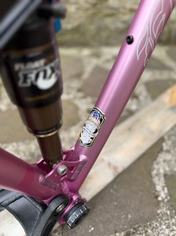 Used Ellsworth Ellsworth Custom Frameset 2012 Mountainbike — image 7 of 7