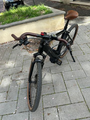 Brugt Riese & Müller Roadster4 touring 2024 2024 Urban — billede 2 af 8
