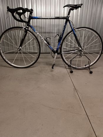 Used Colnago C40 Campagnolo Chorus 1999 Road & Gravel