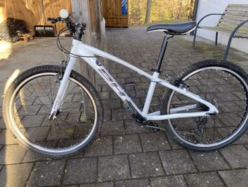 BH Bikes, Expert 24