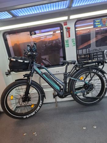 Used Jobobike Jobobike Custom Shimano Altus 2024 MTB