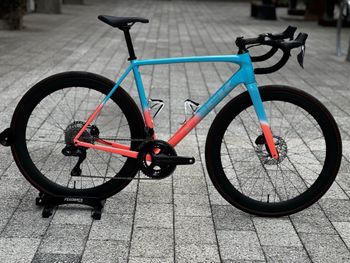 Trek, Émonda ALR Disc Frameset 2026