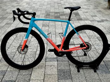 Used Trek Émonda ALR Disc Frameset 2026 2026 Road & Gravel, Blue — image 2 of 16