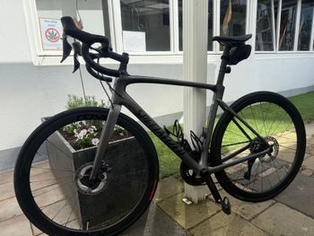Specialized, Roubaix Expert 2023