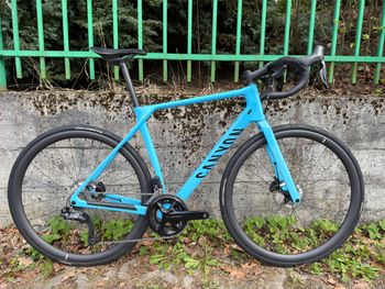 Canyon, Endurace CF 7 Di2 2023