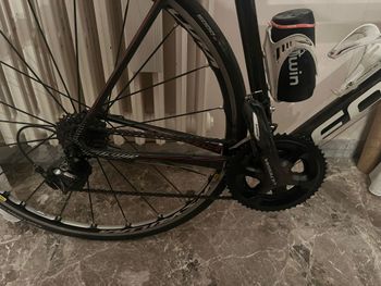 Used Focus Focus Izalco Max 2017 Road & Gravel, Rot — image 3 of 3