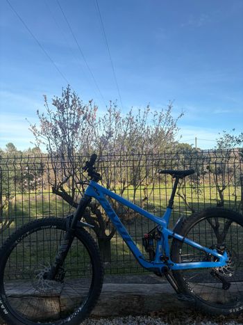 Pivot, SWITCHBLADE Race XT 2022