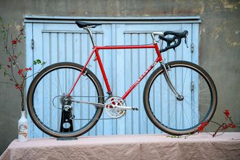 Basso, Globetrotter