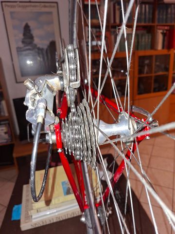 Olmo Custom Other Campagnolo 1996 Road & Gravel d'occasion — image 4 sur 15