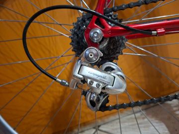 Olmo Custom Other Campagnolo 1996 Road & Gravel d'occasion — image 9 sur 15