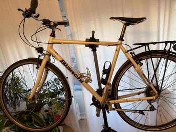 Used Bianchi Bianchi Custom Shimano Acera 2022 Road & Gravel, Bianco — image 6 of 6
