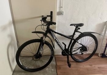 Bergamont, Revox Pro 2020