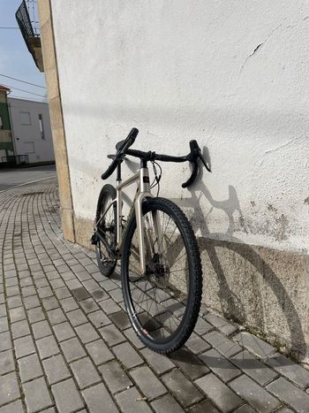 Santa Cruz, STIGMATA Rival / Carbon CC 2023