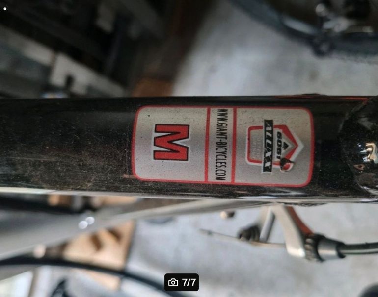 Used Giant OCR Other Campagnolo 2010 Road & Gravel, Black — image 6 of 7