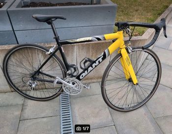 Used Giant OCR Other Campagnolo 2010 Road & Gravel, Black — image 1 of 7