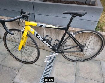 Used Giant OCR Other Campagnolo 2010 Road & Gravel, Black — image 2 of 7