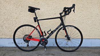 BULLS, Desert Falcon 2 Disc 2020