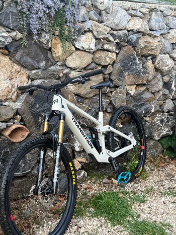 Transition, Sentinel Carbon XO AXS 2025