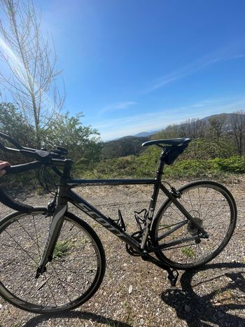 Scott, Speedster 10 Disc 2017