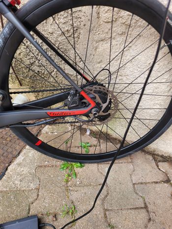 Used Wilier Cento1 Hybrid SHIMANO 105 2X11 + MAHLE X35+ 2023 2023 Road & Gravel, Black — image 5 of 6