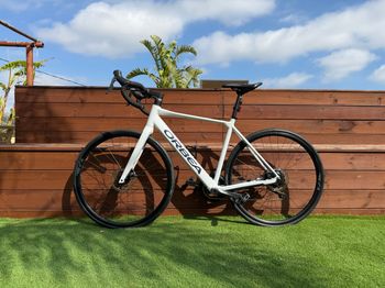 Orbea, GAIN D50 2022