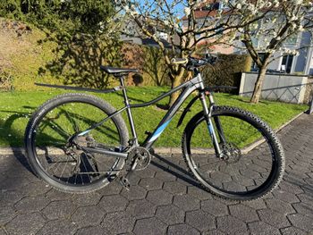 Used CUBE ACCESS WS Race 2019 2019 Mountainbike, Hellgrau, 27.5, 29 — image 2 of 6