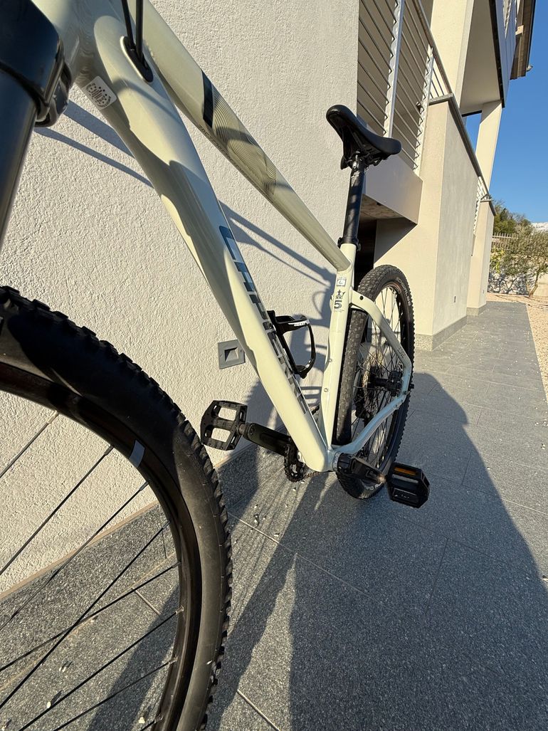 Used Lapierre Edge 7.9 2026 2026 Mountainbike, Light Gray, 29 — image 4 of 11