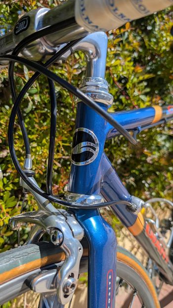Used Giant Giant Custom Campagnolo Record 1995 Road & Gravel — image 5 of 23