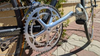 Used Giant Giant Custom Campagnolo Record 1995 Road & Gravel — image 4 of 23