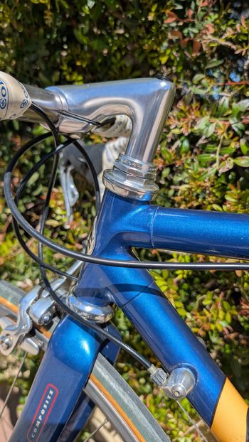Used Giant Giant Custom Campagnolo Record 1995 Road & Gravel — image 17 of 23