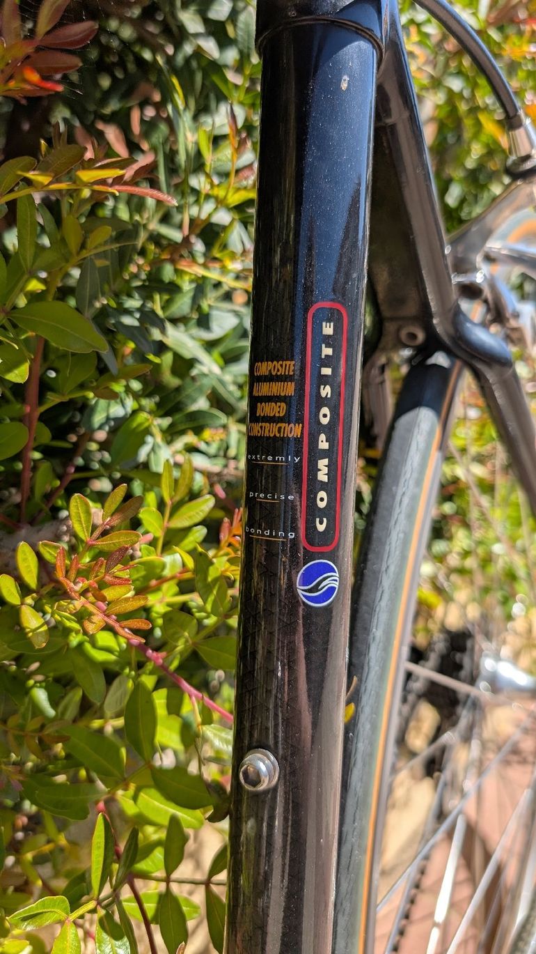 Used Giant Giant Custom Campagnolo Record 1995 Road & Gravel — image 22 of 23
