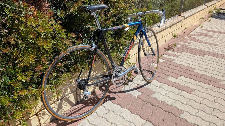 Used Giant Giant Custom Campagnolo Record 1995 Road & Gravel — image 10 of 23