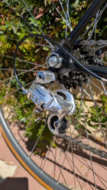 Used Giant Giant Custom Campagnolo Record 1995 Road & Gravel — image 3 of 23