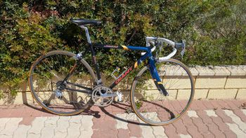 Used Giant Giant Custom Campagnolo Record 1995 Route & Gravel