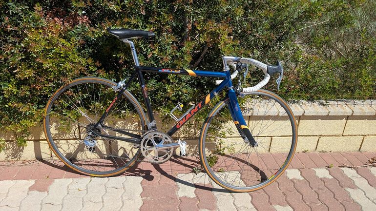 Used Giant Giant Custom Campagnolo Record 1995 Road & Gravel — image 1 of 23