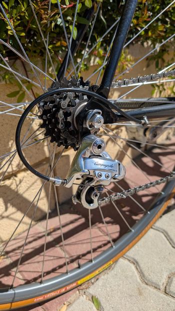 Used Giant Giant Custom Campagnolo Record 1995 Road & Gravel — image 20 of 23