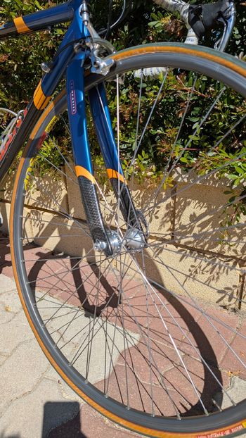 Used Giant Giant Custom Campagnolo Record 1995 Road & Gravel — image 12 of 23