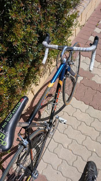Used Giant Giant Custom Campagnolo Record 1995 Road & Gravel — image 16 of 23