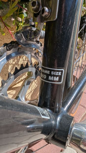 Used Giant Giant Custom Campagnolo Record 1995 Road & Gravel — image 21 of 23