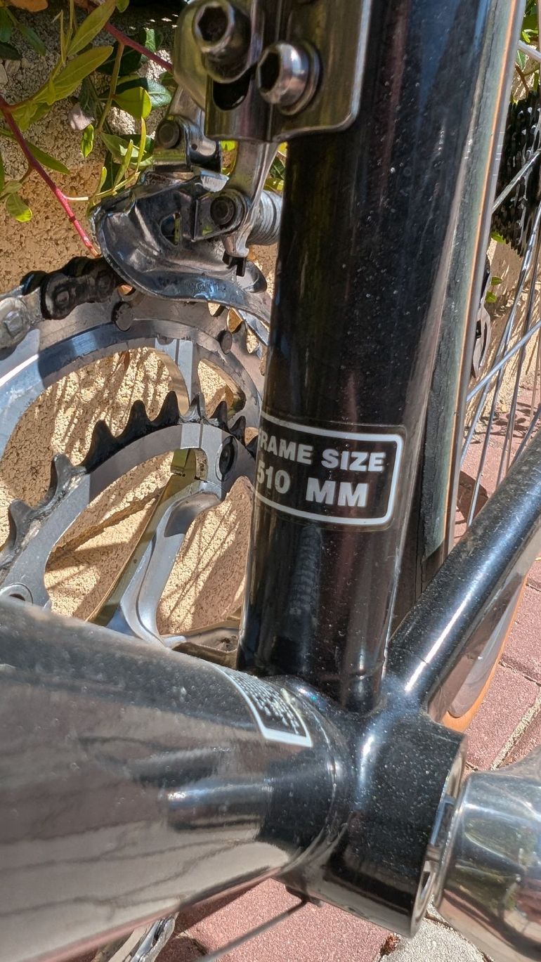 Used Giant Giant Custom Campagnolo Record 1995 Road & Gravel — image 21 of 23