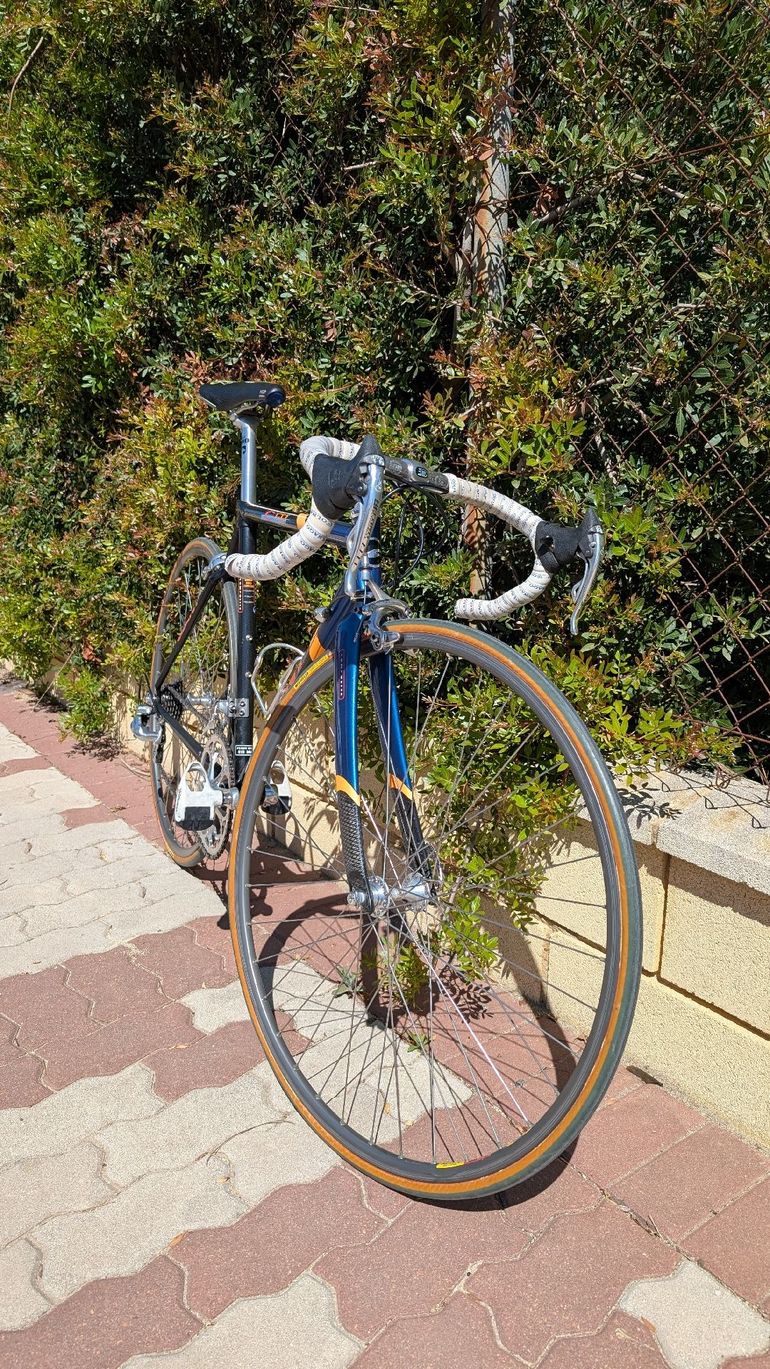 Used Giant Giant Custom Campagnolo Record 1995 Road & Gravel — image 11 of 23