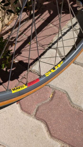 Used Giant Giant Custom Campagnolo Record 1995 Road & Gravel — image 15 of 23