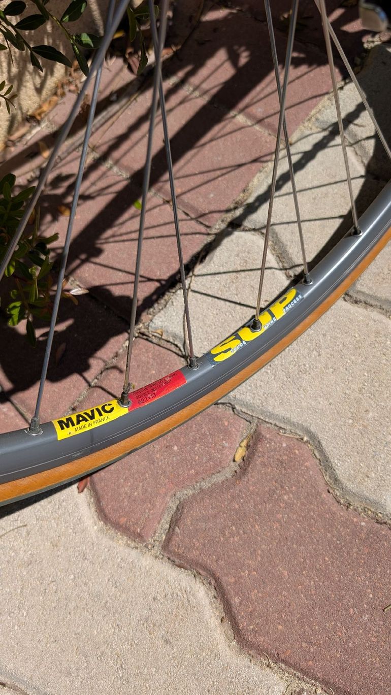 Used Giant Giant Custom Campagnolo Record 1995 Road & Gravel — image 15 of 23