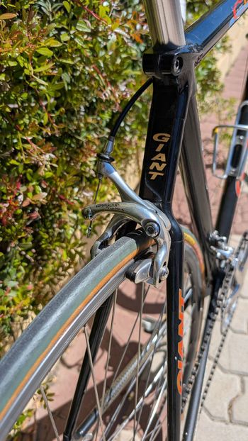 Used Giant Giant Custom Campagnolo Record 1995 Road & Gravel — image 18 of 23