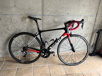 Giant, TCR Advanced Pro Team 2019