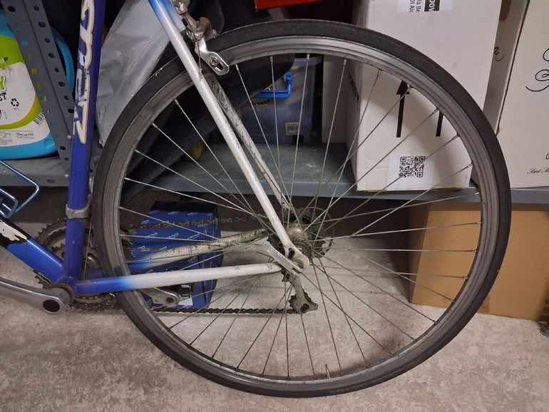 Used zeus Zeus Custom Shimano 105 2005 Road & Gravel, White — image 10 of 11