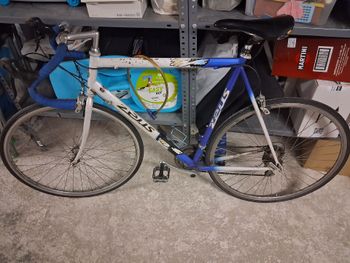 Used zeus Zeus Custom Shimano 105 2005 Road & Gravel, White — image 2 of 11