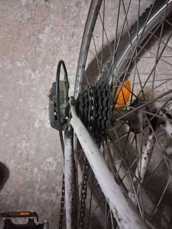 Used zeus Zeus Custom Shimano 105 2005 Road & Gravel, White — image 5 of 11